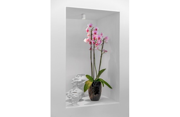 Reventa - Villa Detached - Guardamar del Segura