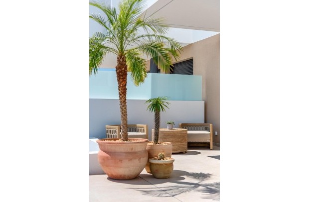 Nouvelle construction - Townhouse - Dolores - Sector 3