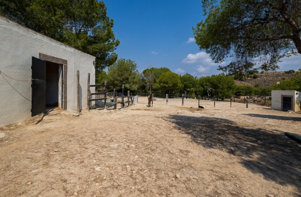 Reventa - Country Property - Torremendo