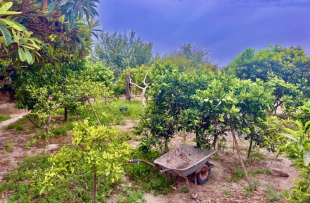 Resale - Country Property - Ciudad Quesada - Cuidad Quesada