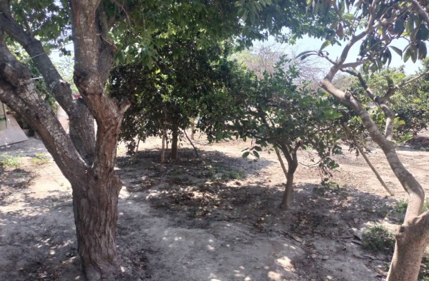 Resale - Country Property - Ciudad Quesada - Cuidad Quesada