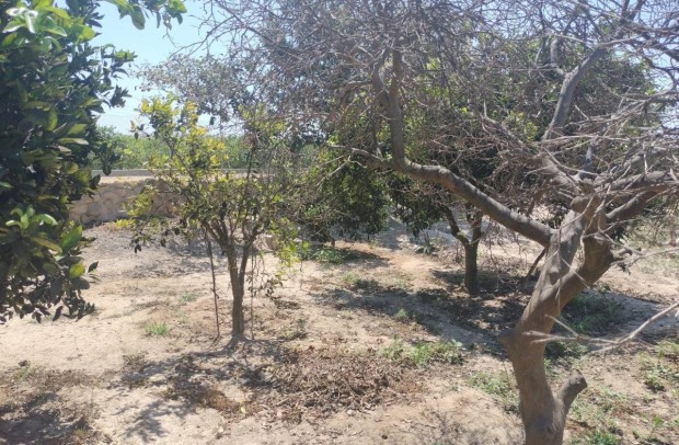 Resale - Country Property - Ciudad Quesada - Cuidad Quesada