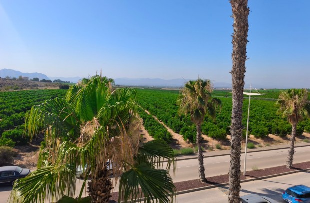 Resale - Semi-Detached - Algorfa - La Finca Golf Resort