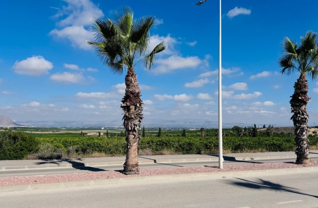 Reventa - Apartment - Algorfa