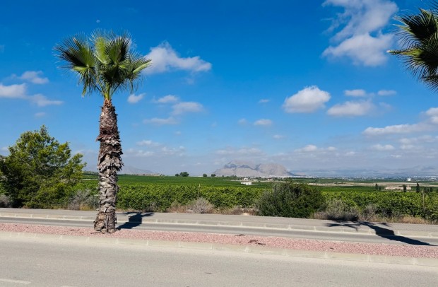 Reventa - Apartment - Algorfa