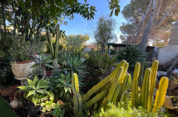 Resale - Detached House / Villa - Orihuela Costa - Lomas De Cabo Roig