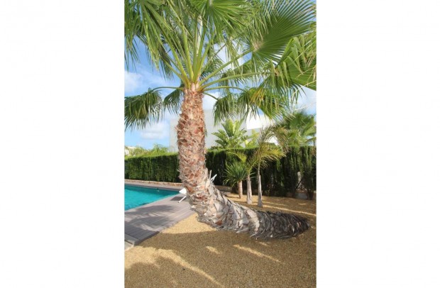 Resale - Chalet / Villa - Ciudad Quesada - Cuidad Quesada