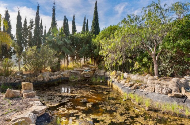 Revente - Country Property - Catral