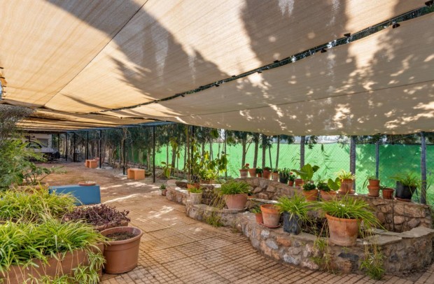 Revente - Country Property - Catral