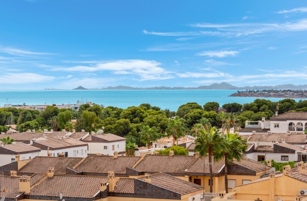 Revente - Apartment - Punta Prima