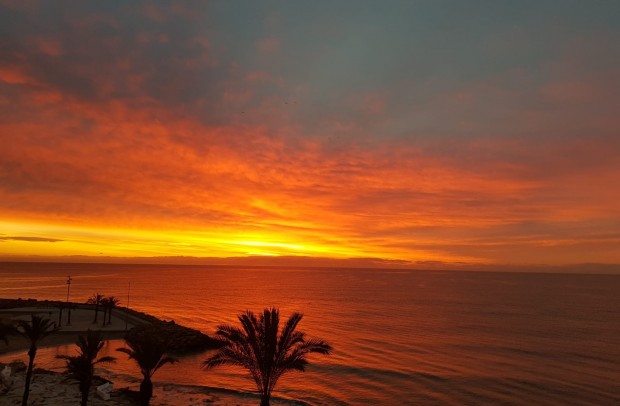 Resale - Apartment - Torrevieja - Playa del Cura