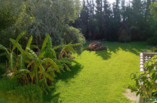 Revente - Detached House / Villa - Daya Nueva