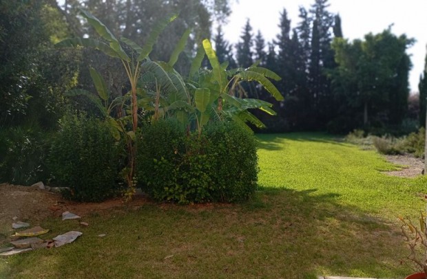 Revente - Detached House / Villa - Daya Nueva