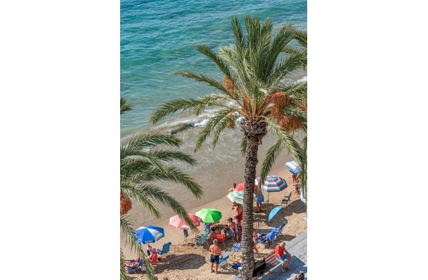 Resale - Apartment - Torrevieja