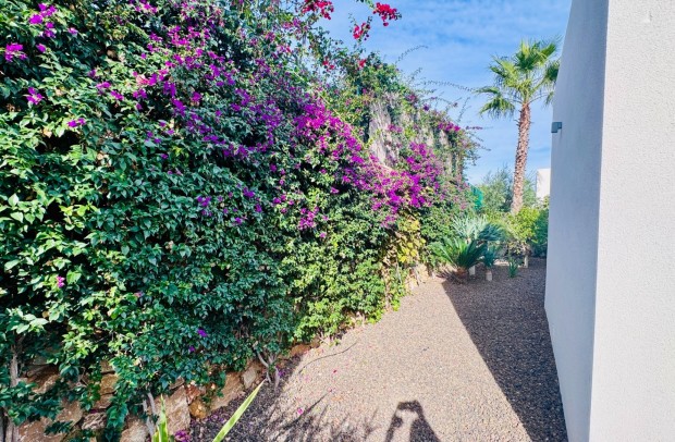 Revente - Villa Detached - Algorfa