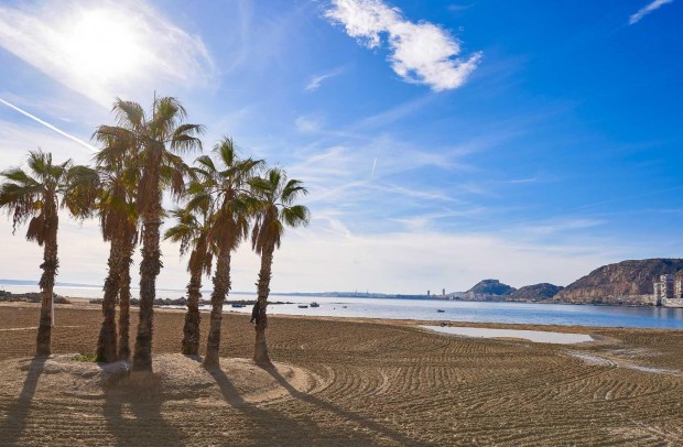 Nueva construcción  - Villa Detached - Els Poblets - Partida Barranquets