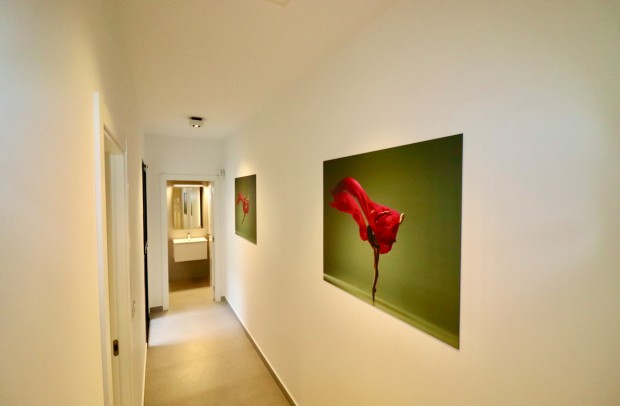 Resale - Apartment - Guardamar del Segura - Guardamar De La Segura