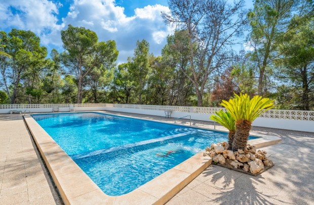 Revente - Apartment - La Nucía