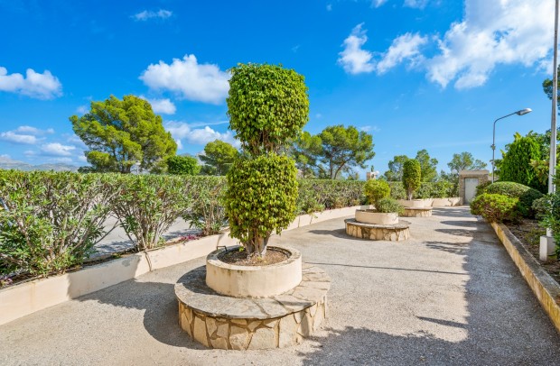 Revente - Apartment - La Nucía