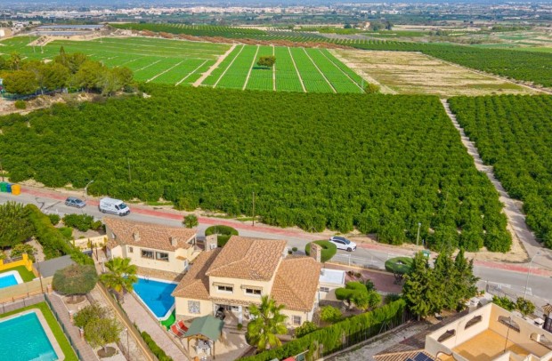 Resale - Detached House / Villa - Algorfa - Castillo de montemar