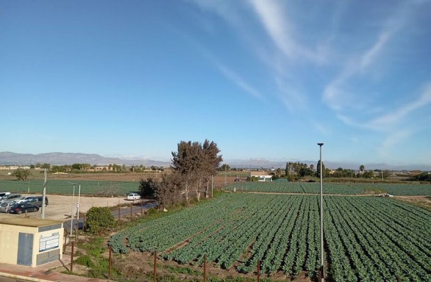 Revente - Apartment - Daya Vieja