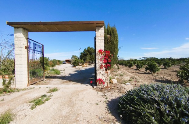 Resale - Country Property - Ciudad Quesada - Partido de Saavedra