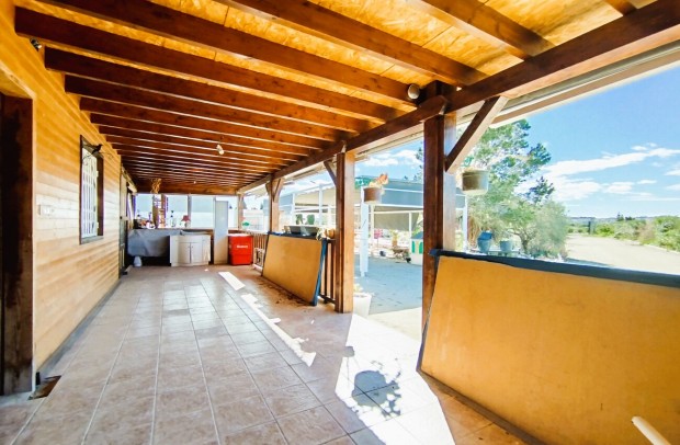 Resale - Country Property - Ciudad Quesada - Partido de Saavedra