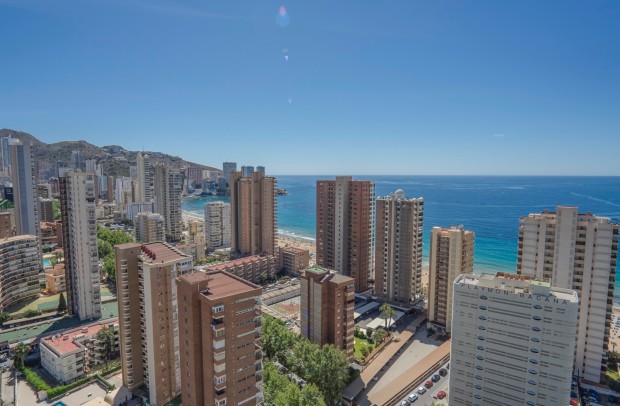 Revente - Apartment - Benidorm