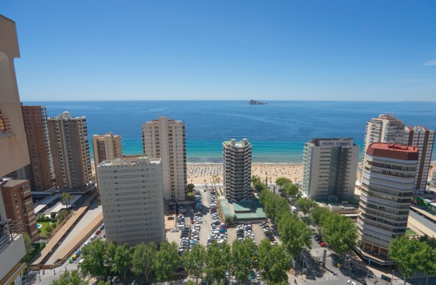 Revente - Apartment - Benidorm