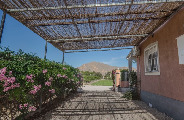 Resale - Country Property - Orihuela - San Bartolome