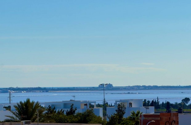 Resale - Detached House / Villa - Los Montesinos - La Herrada