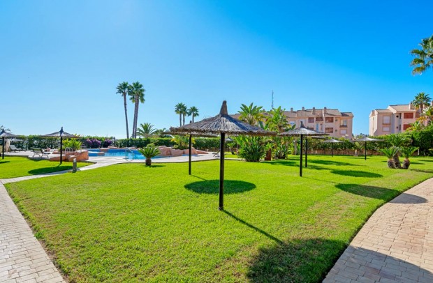 Revente - Apartment - Cabo Roig