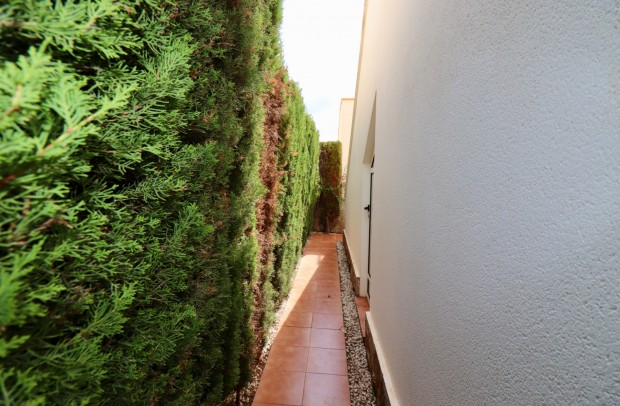 Resale - Detached House / Villa - Guardamar del Segura - El Raso