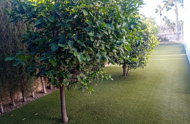 Revente - Detached House / Villa - Algorfa - La Finca Golf Resort