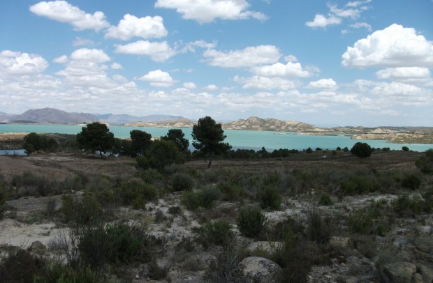 Resale - Plot - Torremendo