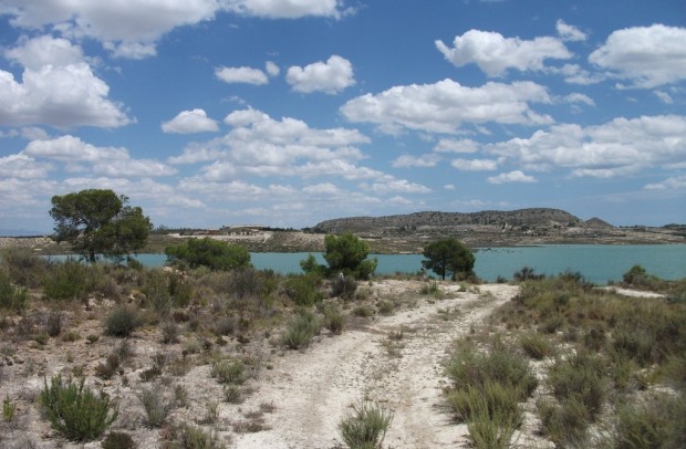 Resale - Plot - Torremendo