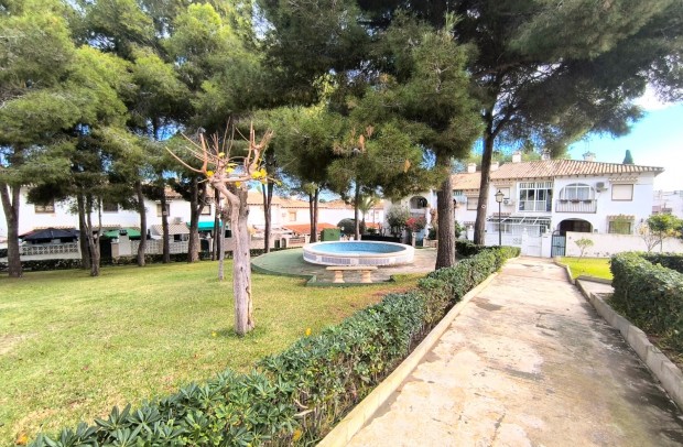 Resale - Townhouse - Torrevieja - Lago jardin