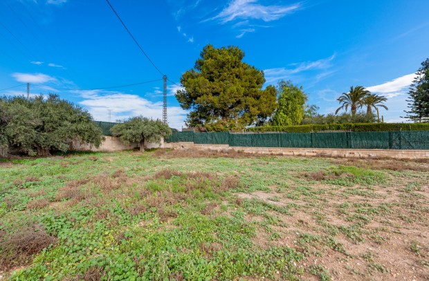 Resale - Detached House / Villa - Elche