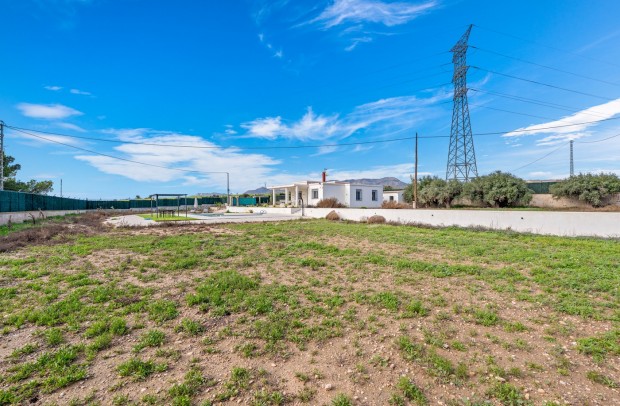 Resale - Detached House / Villa - Elche