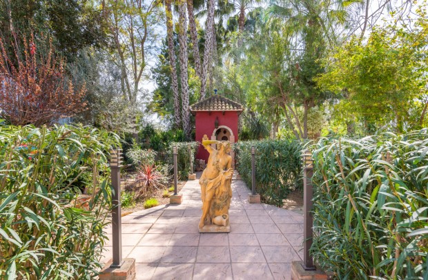 Resale - Country Property - Daya Nueva