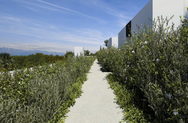 New Build - Villa Detached - Alfas del Pí - Barranc Fondo