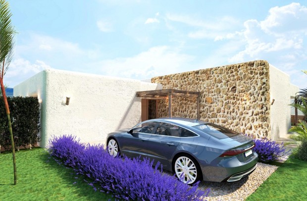 New Build - Villa Detached - Pinoso - Rodriguillo