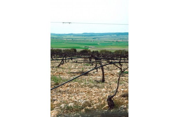 New Build - Villa Detached - Yecla