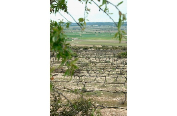 New Build - Villa Detached - Yecla