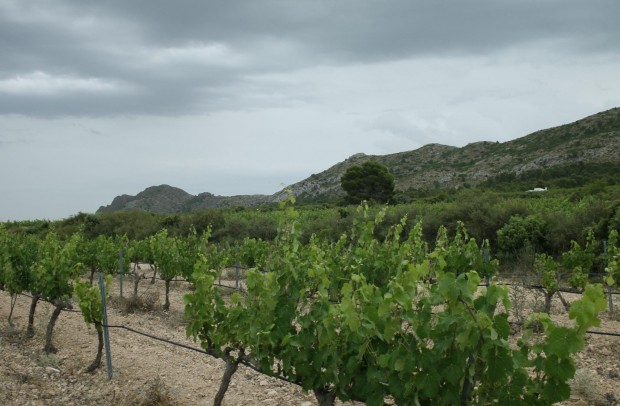 New Build - Villa Detached - Yecla