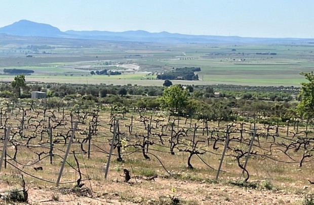 New Build - Villa Detached - Yecla