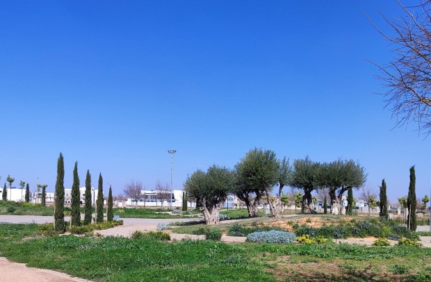 New Build - Apartment - Torre Pacheco - Centro