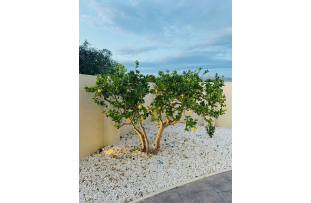 Resale - Villa Detached - Alfas del Pí - pueblo