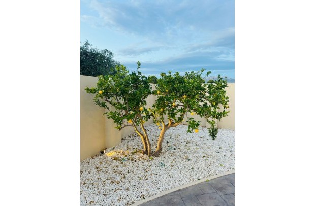 Resale - Villa Detached - Alfas del Pí - pueblo