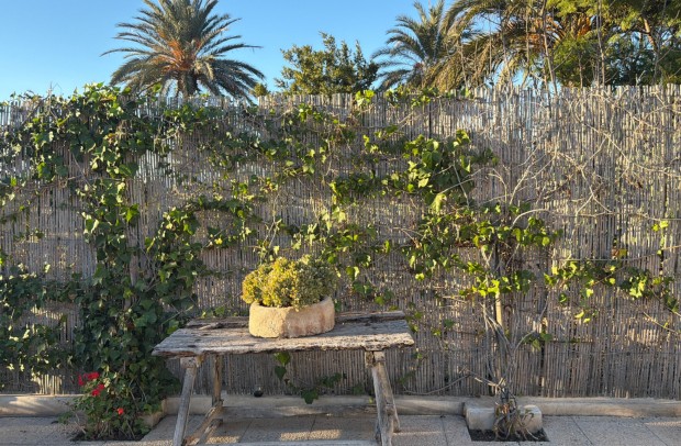 Resale - Semi-Detached - Dolores